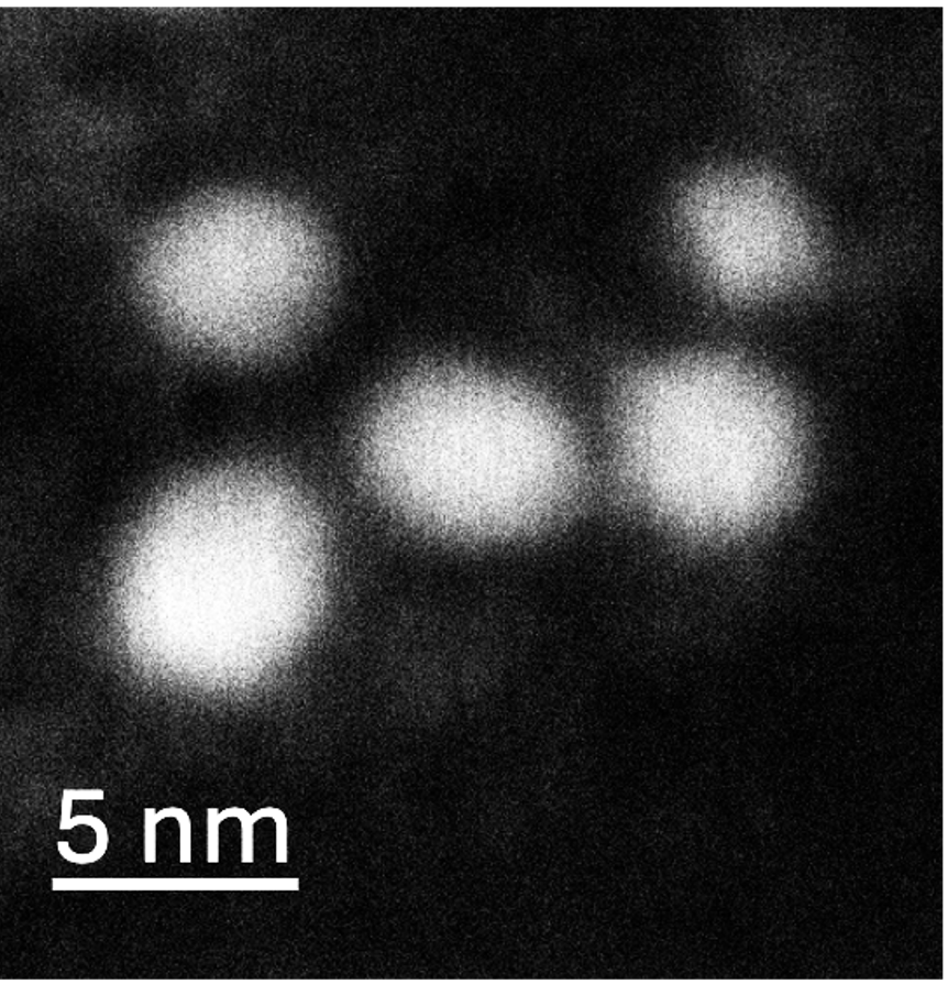 Example TEM image of Grove Gold-L-Cysteine Fluorescent Red nanoparticles