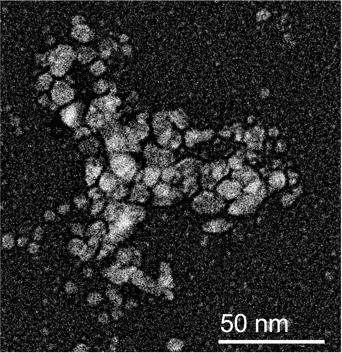 Example TEM image of Grove Gold-PEG Blue platelets