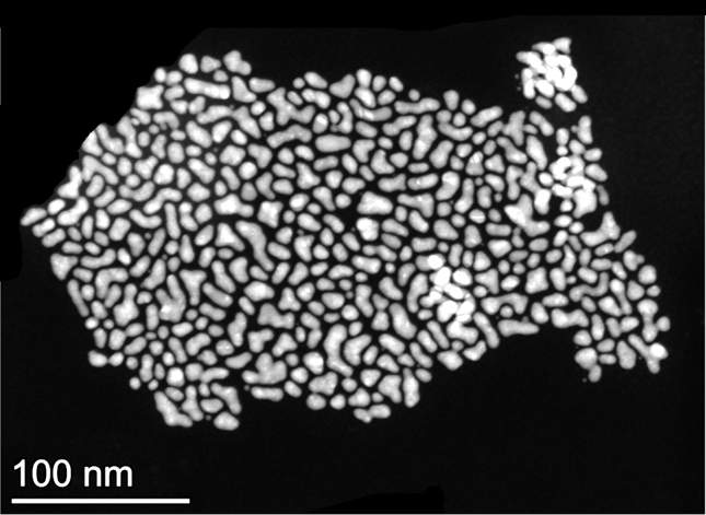 Example TEM image of Grove Gold-PVP Blue platelets