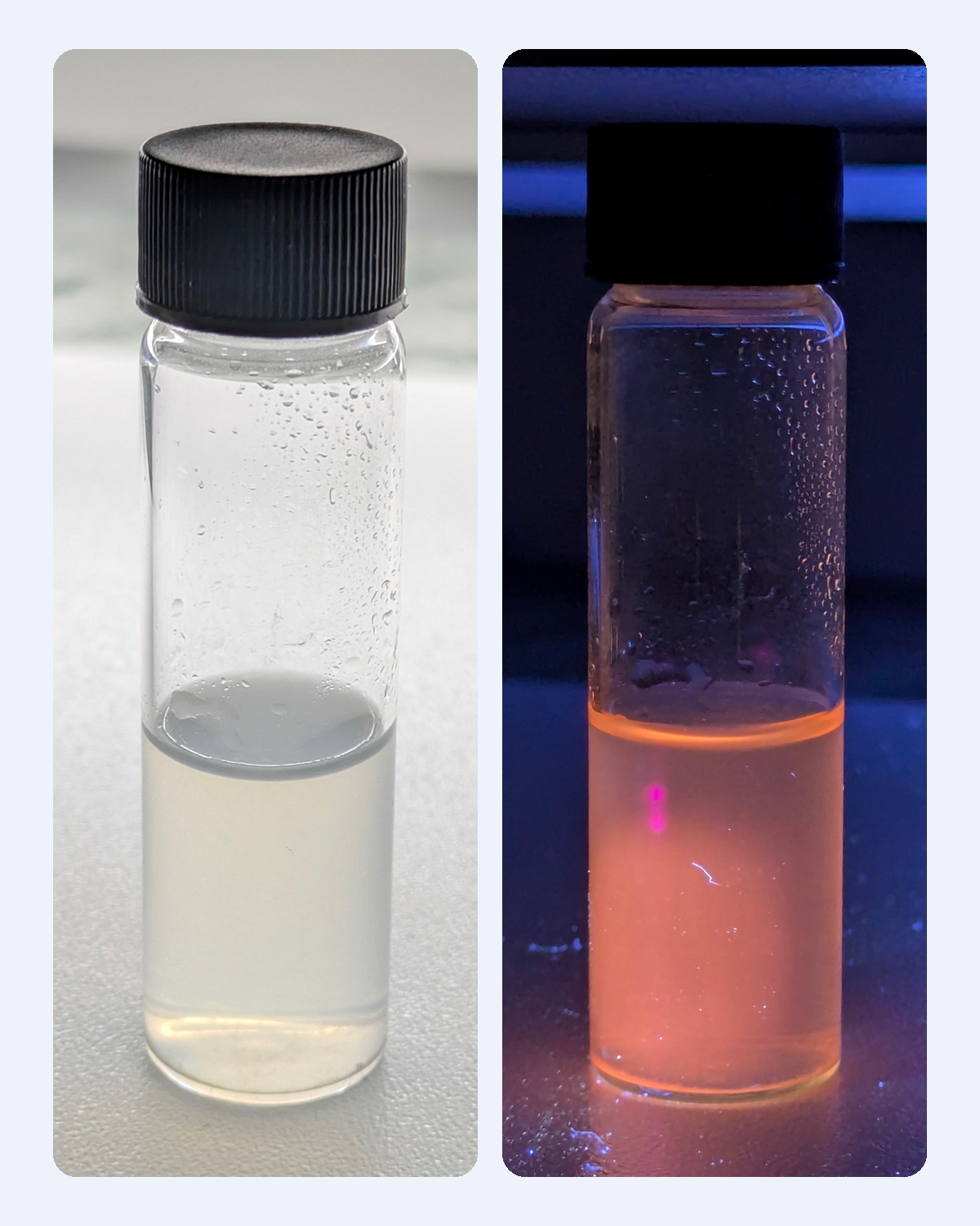 Grove Gold-L-Cysteine Fluorescent Red: the same vial in ambient light (left) and fluorescing red under UV light (right)