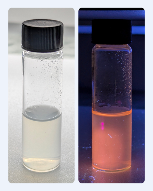 Grove Gold-L-Cysteine Fluorescent Red: the same vial in ambient light (left) and fluorescing red under UV light (right)